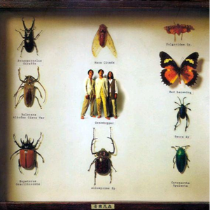 日本强奸戏视频
